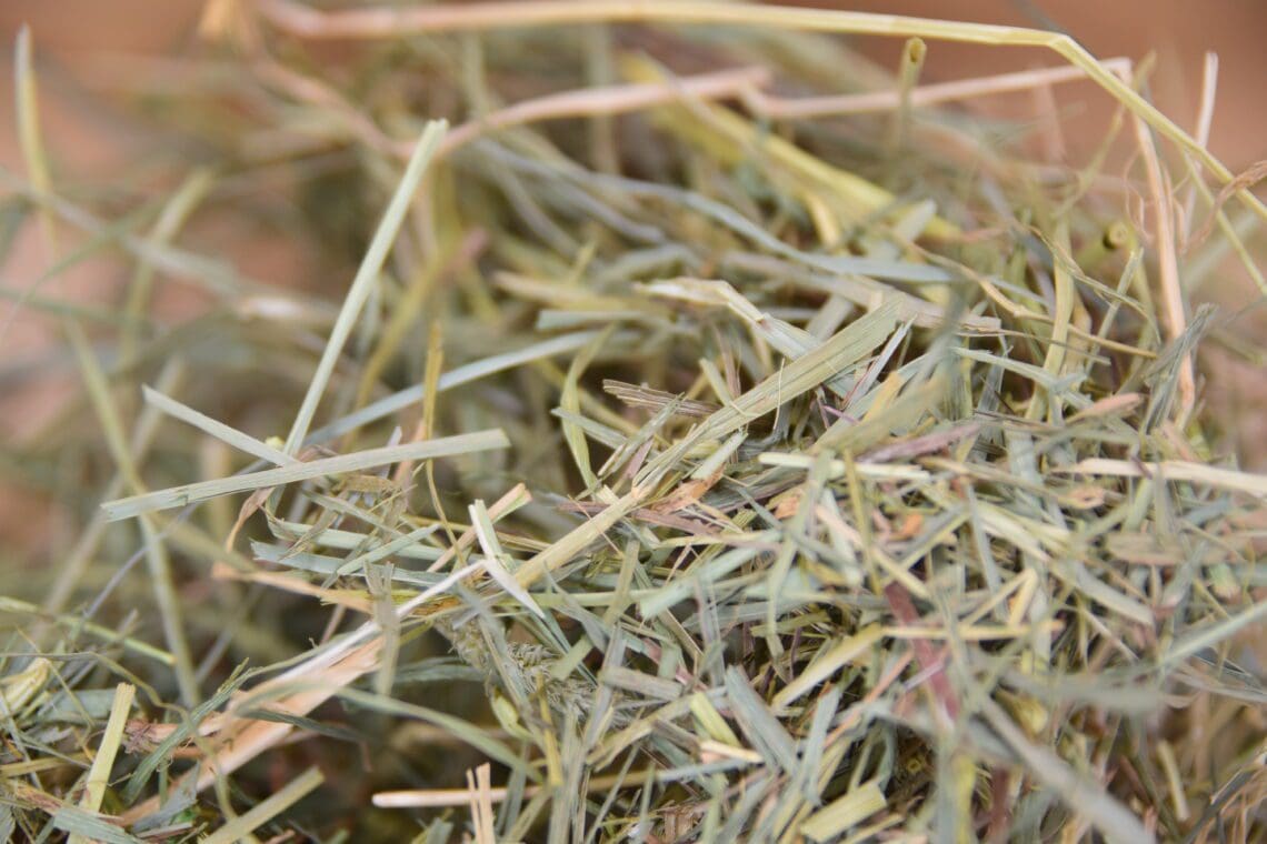 ultimate hay and forage box