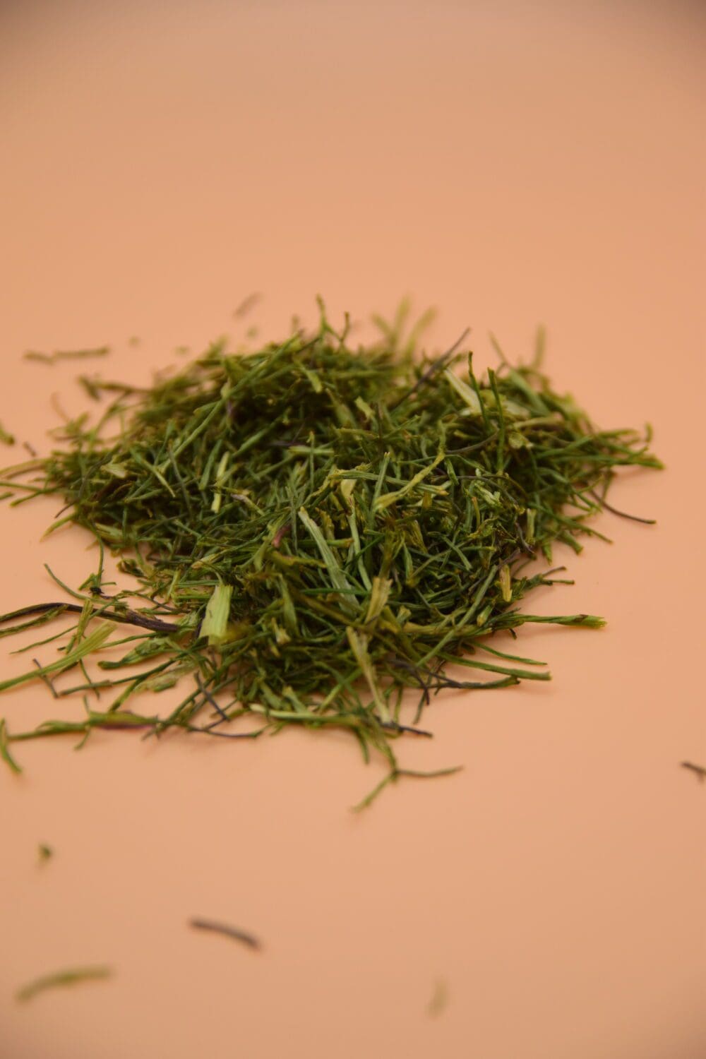 coriander