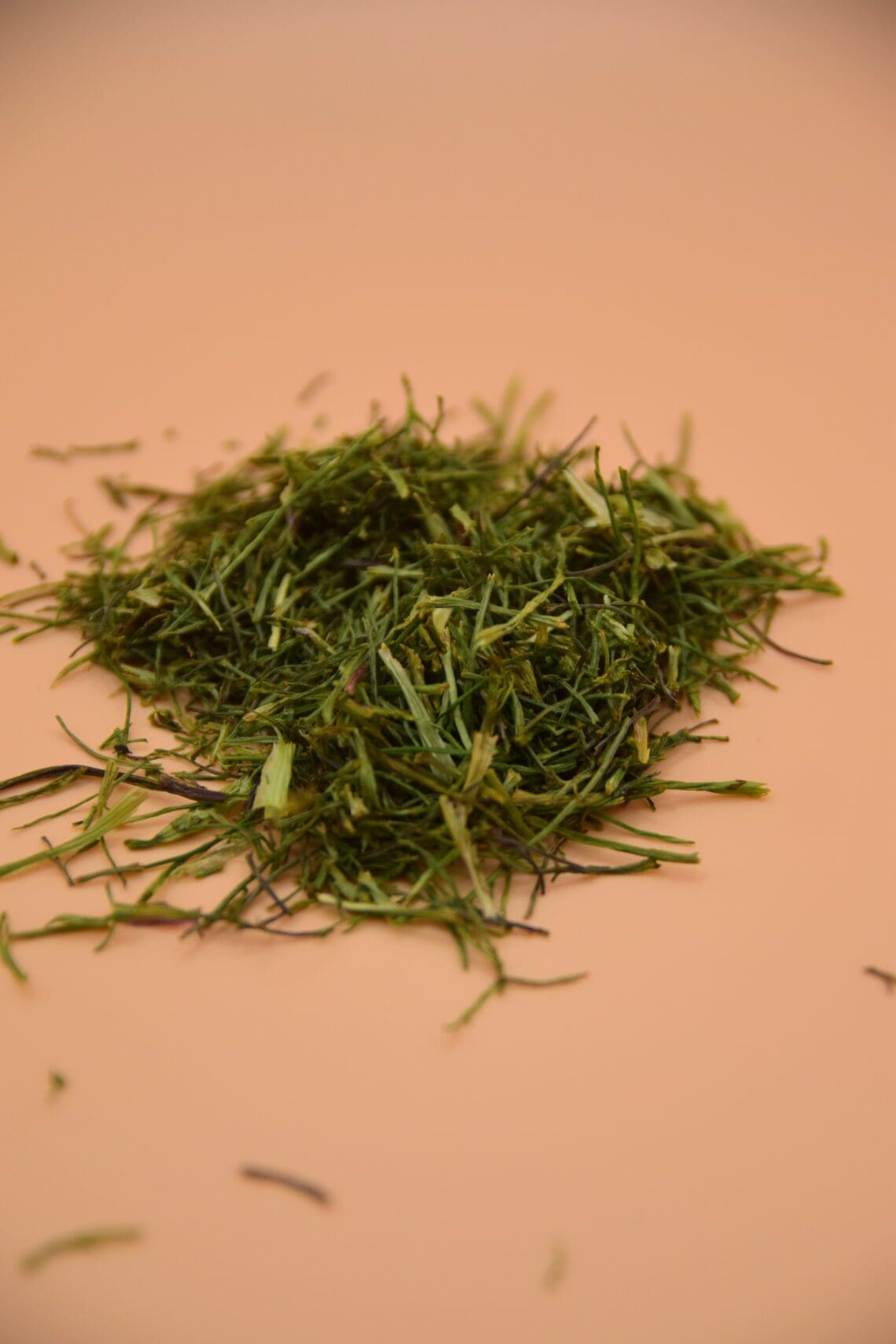 coriander