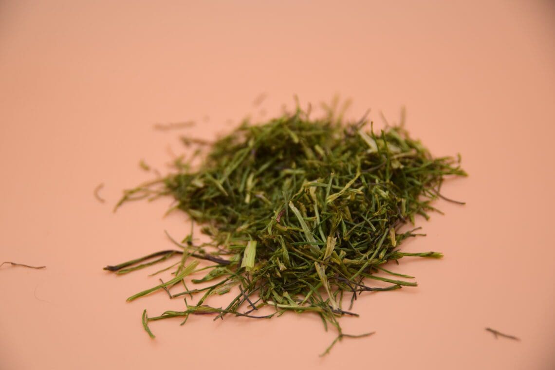 coriander