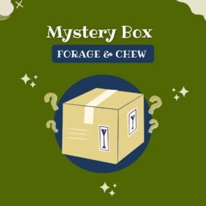 bronze mystery box